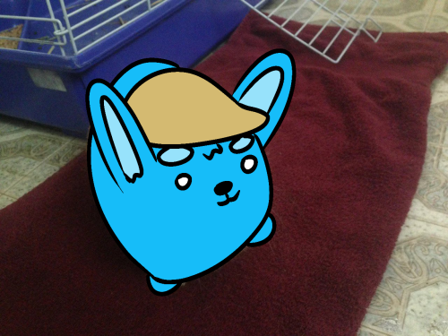 IMG_0984.png